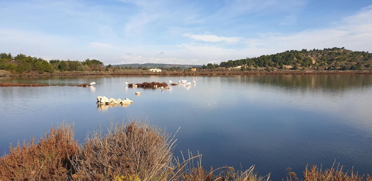 L'Annexe Villa Sigean Bagian luar foto